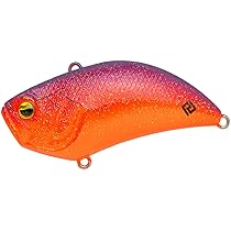 Amazon | レイドジャパン レベルバイブ B.I.G. (LVL001